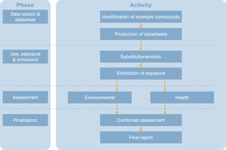 Illustration. Overview of procedures and activities of the assessment (10 Kb)