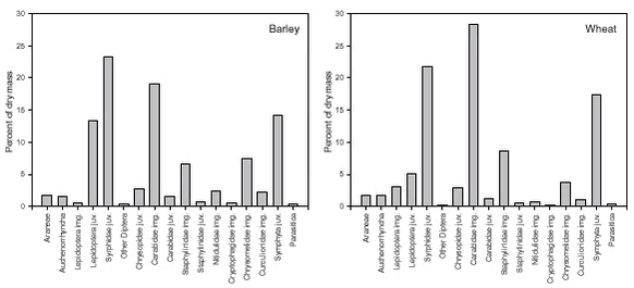 Proportions of estimated dry mass of Skylark prey made up by selected arthropod groups in faecal samples from barley and wheat.