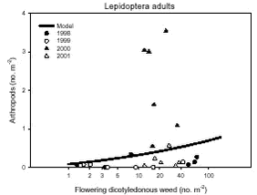 Model of the relationship between the density of flowering dicotyledonous weeds and the density of Lepidoptera adults.