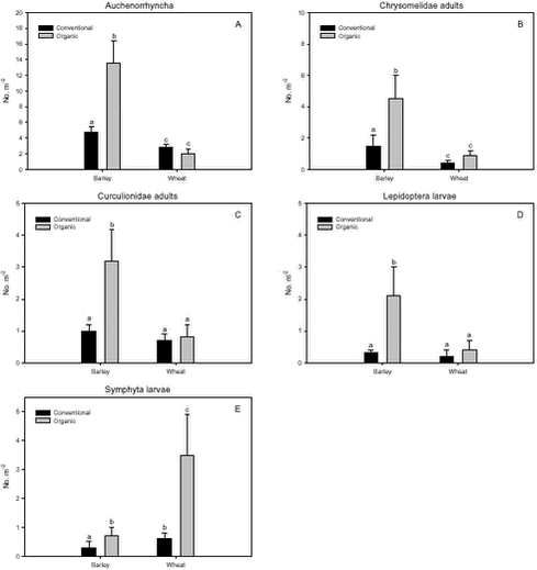 Estimated densities of herbivores important as Skylark prey.