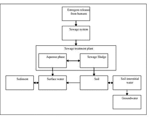 Click on the picture to see the html-version of: ‘‘Tabel 2.2 - Conceptual diagram illustrating the compartments where estrogens from humans may occur and where chemical analysis is needed‘‘