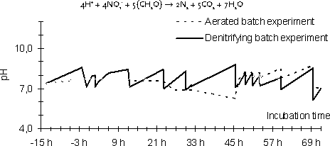 Figure 0-2: Profile of pH in oxygenated and denitrifying batch experiments. The pH of the denitrifying reactors was repeatedly adjusted to pH = 7 with acid.