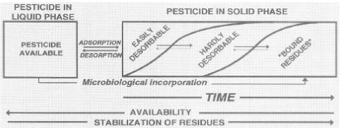 Figure 13. Distribution of pesticide over time between liquid phase and solid phase (Barriuso, 1994). The figure is reproduced with the kind permission from Elsevier.