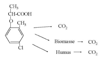 Figure 2. Diagram illustrating the degradation of the pesticide mecoprop. An inter-stage may occur in which the metabolite 2-methyl-4-chlorphenol is formed.