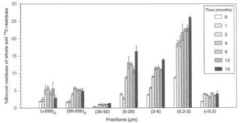 Figure 22. The distribution of bound residues from 14C-atrazine on different soil size fractions (Barriuso & Koskinen, 1996). The figure is reproduced with the kind permission from Soil Science Society of America.