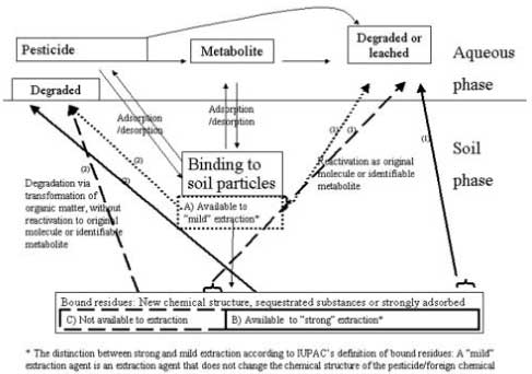 Figure 24. Outline of the problems concerning the influence of sorption on the degradation of pesticides and other chemical in soil.