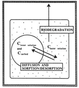 igure 9. Schematic diagram showing the relation in the diffusion-sorption-biodegradation model (Scow & Hutson, 1992). The figure is reproduced with the kind permission from Soil Science of American Journal.