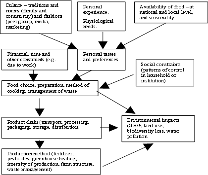 Figure 2.2. Influences on food consumption and its environmental impacts