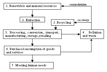 Figure 4.1. Supply-chain view of processes to meet human needs