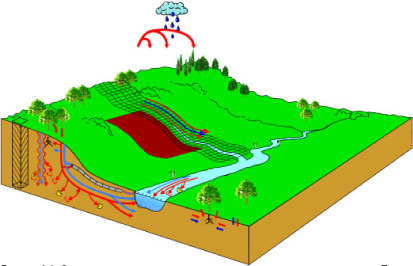 Figure 2.2 Schematic overview of pathways considered in the work. The compound may move as drift or dry deposition through the air. Along the surface, the compound may be transported with the water or on particles. In the soil, the compound may move through the matrix in soluble form or through the macropores as solutes or with colloids. The compound may move to groundwater and drains and from there to the stream. Plant uptake, degradation and sorption are possible processes. Sorption and degradation processes are also active in the stream.