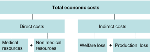 Figure 4-1 Total economic costs of a disease