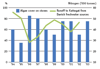 Large marine algae need light and their abundance in deep water increases the clearer the water is. The bars show the percentage of marine algae cover at a depth of 18.5 metres at Kim's Top stone reef in the Kattegat. The large cover percentage in 1996 and 1997 was due to dry weather that halved runoff of nitrogen from land, as shown by the green line.