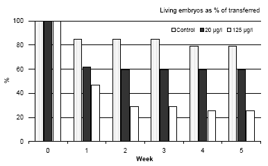 Figure 3.3 The mortality of Bombina bombina during the first five weeks after transfer of the embryos to fresh medium without esfenvalerate.<em> </em>The results are expressed as % of living embryos transferred to the fresh medium (week 0). At week 0 all embryos were at stage 46. The results are means of two experiments. The standard deviation of the mean was less than 10%