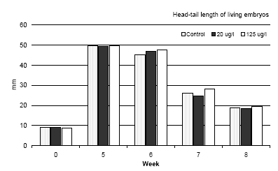 Figure 3.4 A comparison of the head-tail length of Bombina bombina during metamorphosis<em>. </em>The results are compared with the length of the embryos just after transfer to fresh medium (week 0) and the maximum length just before the metamorphosis (week 5). The results are means of two experiments. The standard deviation of the mean was less than 10%