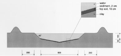 Figure 5.2 Cross section of pond showing the excavation profile. All measures are cm.