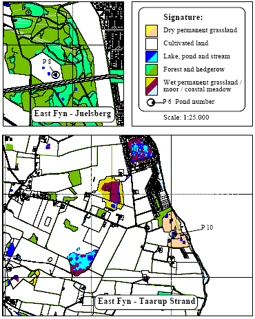 Figure 2.2 Location of ponds on the east coast of Fyn (P8, P10-P11)