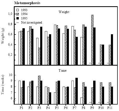 Figure 4.13 Metamorphosis weight and time of Bombina bombina tadpoles in cages