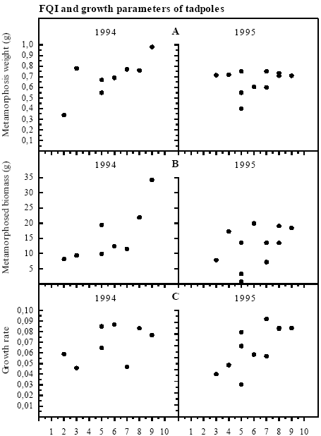 Figure 4.15 Spearman Rank correlations between Food Quality Index and A: Metamorphosis weight, 1994: rs=0.734, p<0.1, n.s.; 1995: rs=0.049, p>0.5, n.s. B: Total biomass of metamorphosed frogs, 1994: rs=0.874, p<0.05; 1995: rs=0.558, p>0.05, n.s. C: Specific growth rate of tadpoles, 1994: rs=0.383, p<0.5, n.s.; 1995: rs=0.628, p<0.05