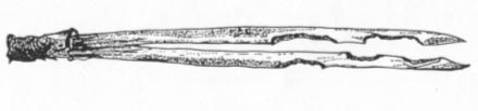 Figure 1.1: Damage on needles caused by Strophosoma spp. (from Sedlag and Kulicke, 1979).