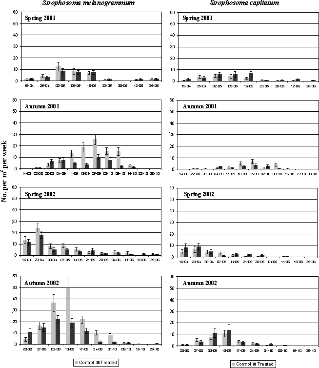 Figure 5.1: Density (no. per m²) in 2001 and 2002 of adult S. melanogrammum (left column) and S. capitatum (right column) on the experimental field site treated with either M. anisopliae BIPESCO 5 (Treated) or 0.05% Triton x-100 (control) in summer 2000 (July 7 and July 19) and summer 2001 (June 26 and July 10) after soil application against larvae. The density was measured by weekly counting of number of weevils caught in 30 emergence traps per treatment.