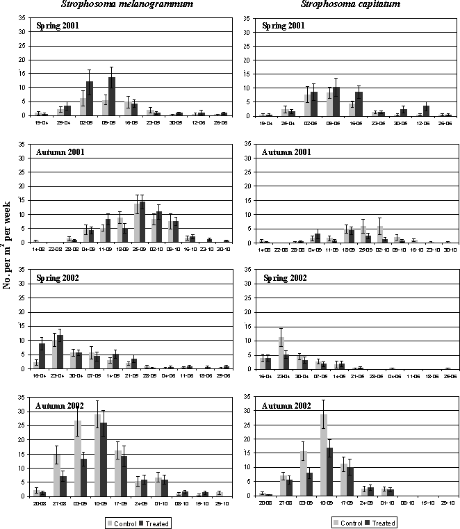 Figure 5.4: Density (no. per m²) in 2001 and 2002 of adult S. melanogrammum (left column) and S. capitatum (right column) on the experimental field site treated with either M. anisopliae BIPESCO 5 (Treated) or 0.05% Triton x-100 (control) in spring 2001 (April 25 and May 9) after soil application against ovipositing females. The density was measured by weekly counting of number of weevils caught in 30 emergence traps per treatment.