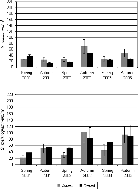 Figure 5.5: Density (accumulated numbers) in 2001, 2002 and 2003 (no. per m²) of adult S. melanogrammum and S. capitatum on the experimental field site treated with either M. anisopliae BIPESCO 5 (Treated) or 0.05% Triton x-100 (control) in spring 2001 (April 25 and May 9) against ovipositing females. The density was measured by weekly counting of number of weevils caught in 30 emergence traps per treatment