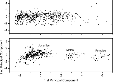 Fig 2. PCA plot of the first and second principal component scores of the original 5 dimension data: area, length, width, slimness and grey density. Lower Fig: three Folsomia fimetaria clusters can be identified: females, males and juveniles following exposure to copper (21, days of exposure, Scott-Fordsmand et al 1997). Upper Fig: No clusters can be identified following exposure to testosterone (42 days of exposure).