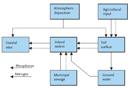Figure 6.1 Main sources for nitrogen (continuous arrow) and phosphorus (dashed arrow) to soil, groundwater, surface waters and coastal seas addressed in the CARMEN model (Beusen not published)