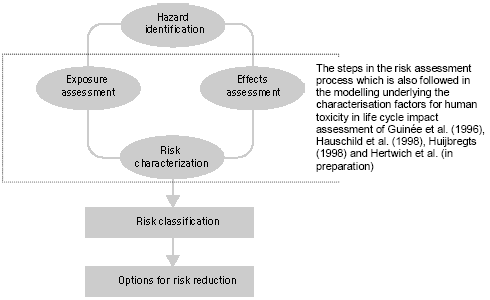 Figure 7.1. Steps in the risk management process (modified from Van Leeuwen and Hermens 1995)