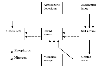 Figure 5.2. Main sources for nitrogen (continuous arrow) and phosphorus (dashed arrow) to soil, groundwater, surface waters and coastal seas addressed in the CARMEN model (Beusen not published).