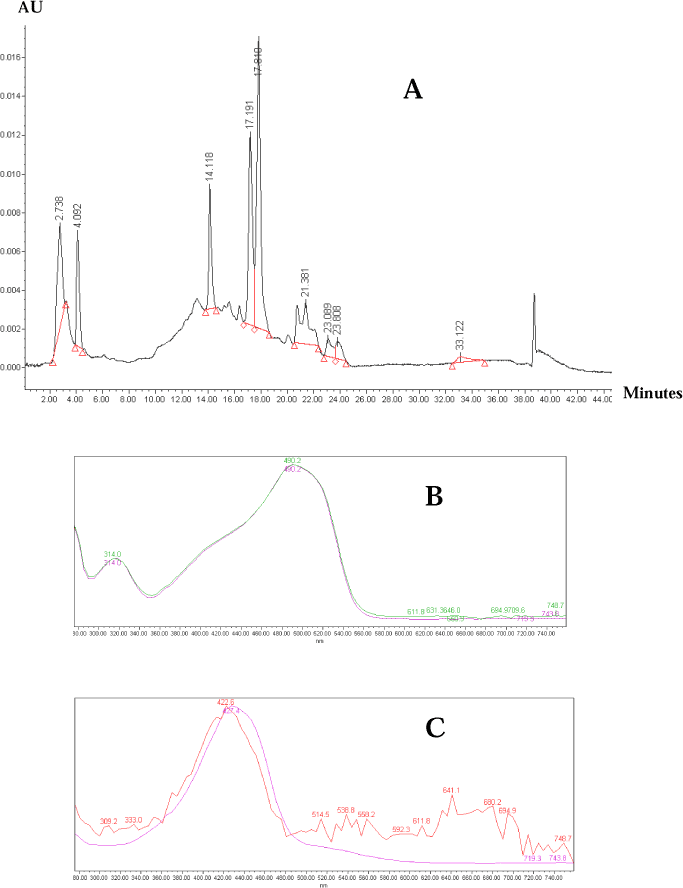 Figure 2: Identification of colorants in the HPLC-solvent extract of sample no. 225-2. A: HPLC chromatogram, B: spectrum of 14,118 min chromatographic peak with the spectrum of CI 15850, C: spectrum of 33,122 min chromatographic peak with the spectrum ofCI 75300.