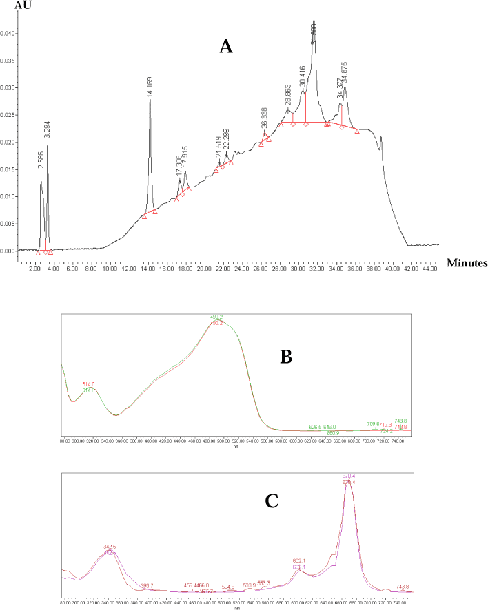 Figure 3: Identification of colorants in THF extract of sample no. 226-2. A: HPLC chromatogram, B: spectrum of 14,169 min chromatographic peak with the spectrum of CI 15850, C: spectrum of 21,519 min chromatographic peak with the spectrum of CI 74180.