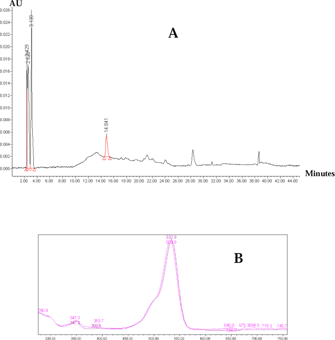 Figure 4: Identification of colorants in the THF extract of sample no.229-2. A: HPLC chromatogram, B: spectrum of 14,841 min chromatographic peak with the spectrum of CI 45220.