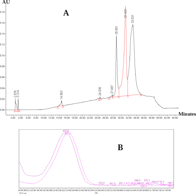 Figure 5: Identification of colorants n the THF extract of sample no. 250-2. A: HPLC chromatogram, B: spectrum of 24,535 min chromatographic peak with the spectrum of CI 11920.