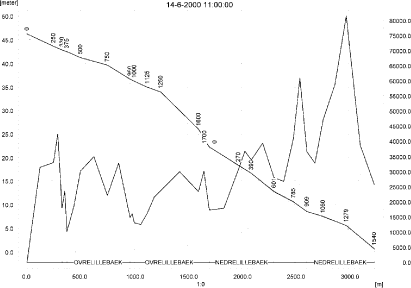 Figure 5.15. Concentrations in the sandy loam catchment on 14. June-2000, 11:00.