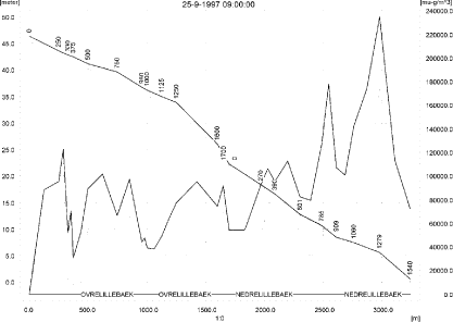 Figure 9.18. Concentrations in the sandy loam catchment on 25. September 1997, 09:00.