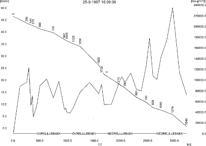 Figure 9.19. Concentrations in the sandy loam catchment on 25 September 1997, 10:00.