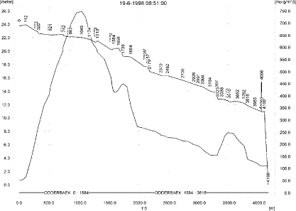 Figure 10.3. Concentrations of rimsulfuron in the sandy catchment on 19. June, 1998, 8.51.