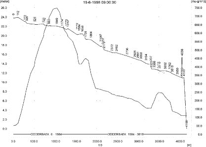 Figure 10.4. Concentrations of rimsulfuron in the sandy catchment on 19. June, 1998, 9.00.