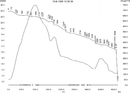 Figure 10.5. Concentrations of rimsulfuron in the sandy catchment on 19. June, 1998, 12.00.