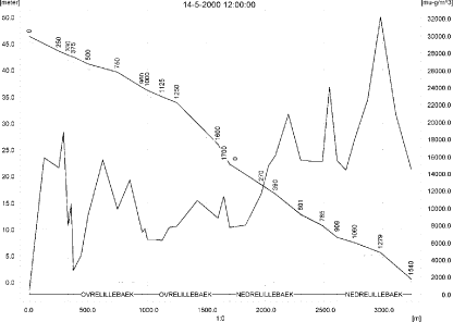 Figure 11.19. Concentrations in the sandy loam catchment on 14. May 2000, at 8.30 (just after spraying) and at 12.00. The concentrations are generated by Drift contribution to the stream. b)