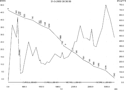 Figure 12.16. Concentrations in the the main stream of the sandy loam catchment on 31. March 2000, 8.30. The concentrations are generated by drift