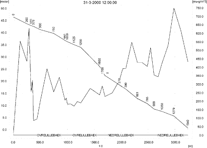 Figure 12.18. Concentrations in the the main stream of the sandy loam catchment on 31. March 2000, 12.00. The concentrations are negligible in most of the catchment.
