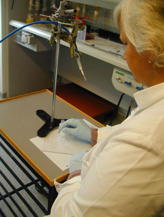Figure 4: Application of nail lacquer on glass plate. Air is sucked through XAD-2 column, which is placed in nose height over the nail lacquer.