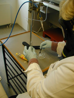 Figure 5: Application of epoxy adhesive. Air is sucked through an XAD-2 column, which is placed in nose height above the work surface.