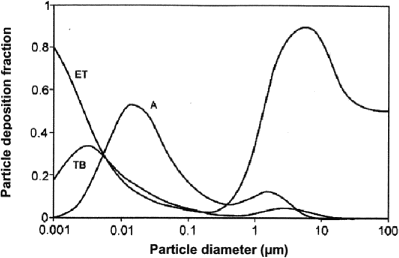 Figure 2. Particle deposition. Regional deposition of inhaled particles in the human respiratory tract. From The International Commission on Radiological Protection (ICRP 1994).