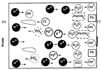 Figur 3. l. Skematisk beskrivelse af elektromigration, inkl. dannelse og transport af H+ og OH--ioner (efter Acar et al, 1995).(9 kb)