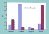 graf (3259 bytes)