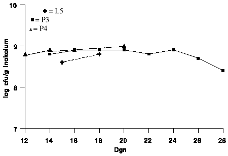 Figur 2.1. Produktionstidens indflydelse p opformeringen af
kolonidannende enheder (cfu) af <I>G.roseum</I> (IK726) i sphagnum/klid
inokulum efter 2 dgns nedtrring. L5, P3 og P4 refererer til
produktionsforsg jfr. tabel 2.1. (3 Kb)