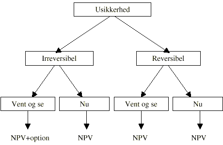 Figur 3.3. Beslutningsgrundlag under usikkerhed, reversibilitet og fleksibilitet. (5 Kb)